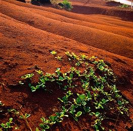 卡普空为万圣节预热 《生化危机》系列特卖