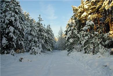 《战神5》松鼠角色险些被砍 总监坚持让其留下来