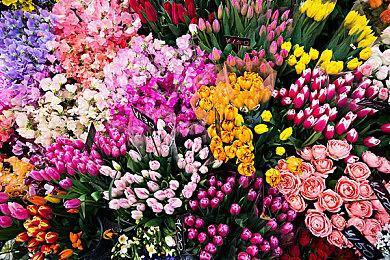 奥日老板解释ARPG新作《恶意不息》定价为何不是70美元